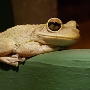 Meet your Posher, Cassie